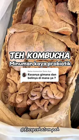 Membalas @Dara Ayu bisa coba kak .. rasanya asem ,manis , seger dan ada sensasi soda nya .. dan pastinya baik banget utk kesehatan terutama pencernaan #kombucha #tehkombucha #probiotik 