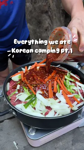 KOREAN CAMPING IN BIG SUR— yes we went again, this time with friends to Big Sur campground & cabins. First night we had kongbul + fried chicken.. wait for pt2 bc we ate so much day 2 🤤🤤 *used @pov_husband (kongbul recipe)  #koreancamping #koreanfood #whatweate #campingfood #cookingtok 