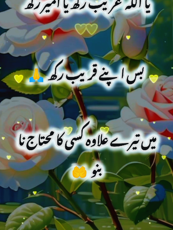 #fyp #unfreezemyaccount #foryoupage #urdupoetry 