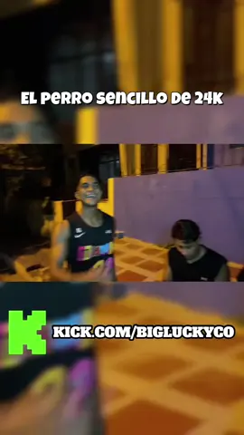 El perro sencillo más caro de esta vida 🤣 #humor #fyp #kick 
