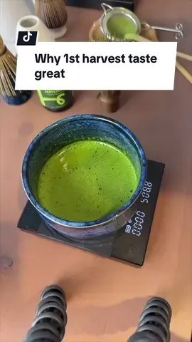 First harvest matcha tastes great because it has has more of everything (chlorophyll, antioxidants & all the good stuff) to make it flavourful!  #matcha #matchatea #matchapowder #matchaquality #japanesematcha #ceremonialmatcha 