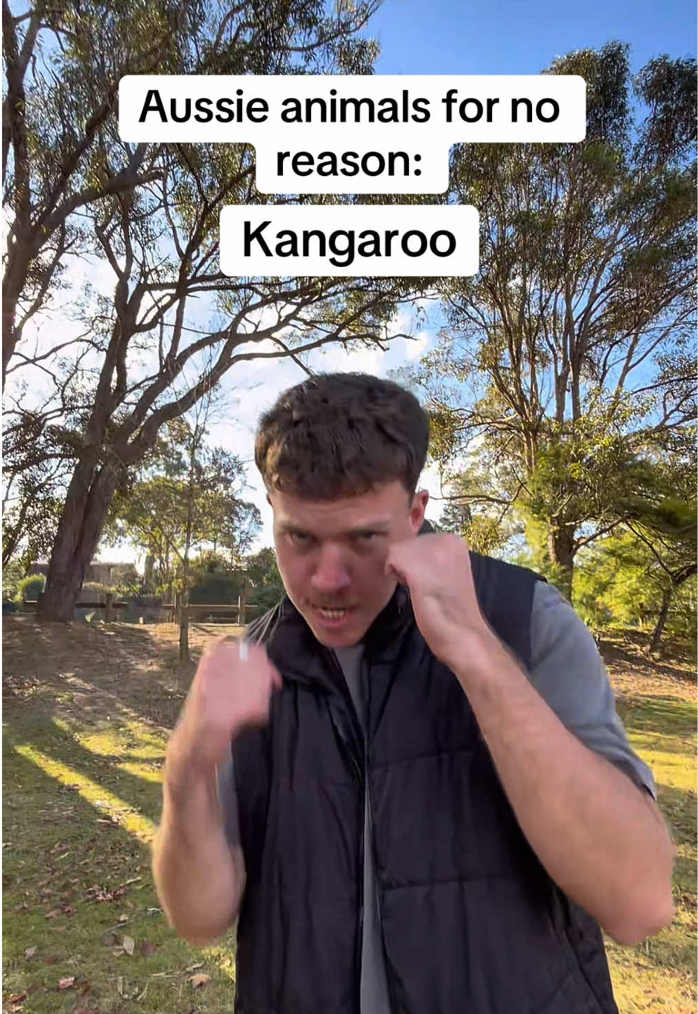 Deadly stuff #aussie #straya #fyp #kangaroo #spider #animals 
