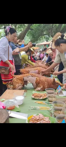#Tài #shan #Tai #ရှမ်း #ᨾᩮᩨ᩠ᨦᩱᨴ #ᥛᥫᥒᥰᥖᥭᥰ #မိူင်းတႆး #ၶိူဝ်းတႆး #ไทใหญ่ 
