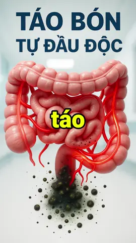 Nếu bạn nghĩ táo bón chỉ là một sự khó chịu, bạn đã sai. Rất sai. Đó là một tín hiệu cho thấy cơ thể bạn đang tái hấp thụ độc tố từ chính chất thải của nó. Mỗi ngày trì hoãn là một ngày bạn để quá trình tự đầu độc này tiếp diễn. #DaDepBungEm #BBLife #botdiepluc #NMN #taobon #thaidoc #detox #suckhoetieuhoa #tudoc #gannong #daxau #munnoitiet #canhbaosuckhoe #suckhoe