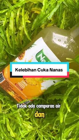 Yang mau tau kelebihan nenavin yu buruan merapat ! #fyp #nenavin #cukananaswithmother #cukananas 
