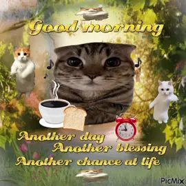 good morning 🐈🎶 I'll make a cup of coffee for your head ☕️ #catcore #jollytok #sillycats #catsoftiktok #usa #catlover #corecoretiktok #cats #sillycat #meowl #talkingpetsai #brainrotcore #viral #meowl 