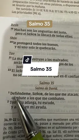 Salmo 35  Defiéndeme Señor de los que me atacan. #salmo35 #bibleverse #christianmotivation #faith #inspiration #biblia #fe #salmos 