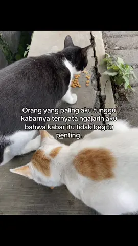 #fypシ 