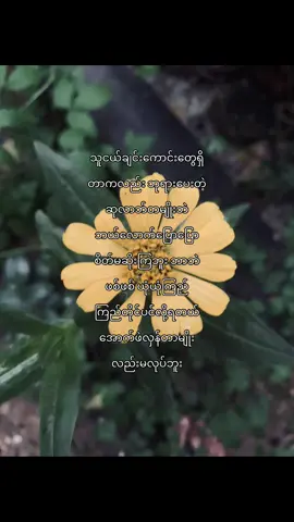 ညီအမတေလိုဘဲ#myanmartiktok🇲🇲🇲🇲 #foryoupage #fpyyyyyyyyyyyyyyyyyyyyyy #thankb4youdo #myanmarcelebritytiktok @W🫶🏻 @AK🦖 @Nevada @Hsu @Jessica @🍃Dudu♪ 