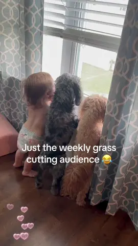 Funny stories about babies and dog 🩷#pet #dog #Love #dogsoftiktok #friendship #foryou #babiesoftiktok 
