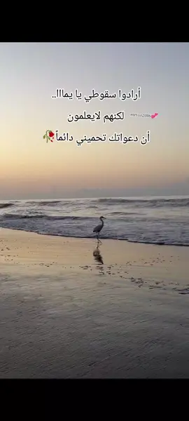 #حسام_الرسام #اتعودت_عالغربة_يُمّا #iraqi_songs #messo2016 #طرب_عراقي_اصيل #اغاني_عراقية 