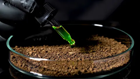 Growing Minecraft in a dish ASMR 2 #fyp #asmrsounds #asmr #sastisfying #relaxing #soothing #Minecraft #asmrvideo #oddlysatisfying #ai #asmrtiktoks #nether 