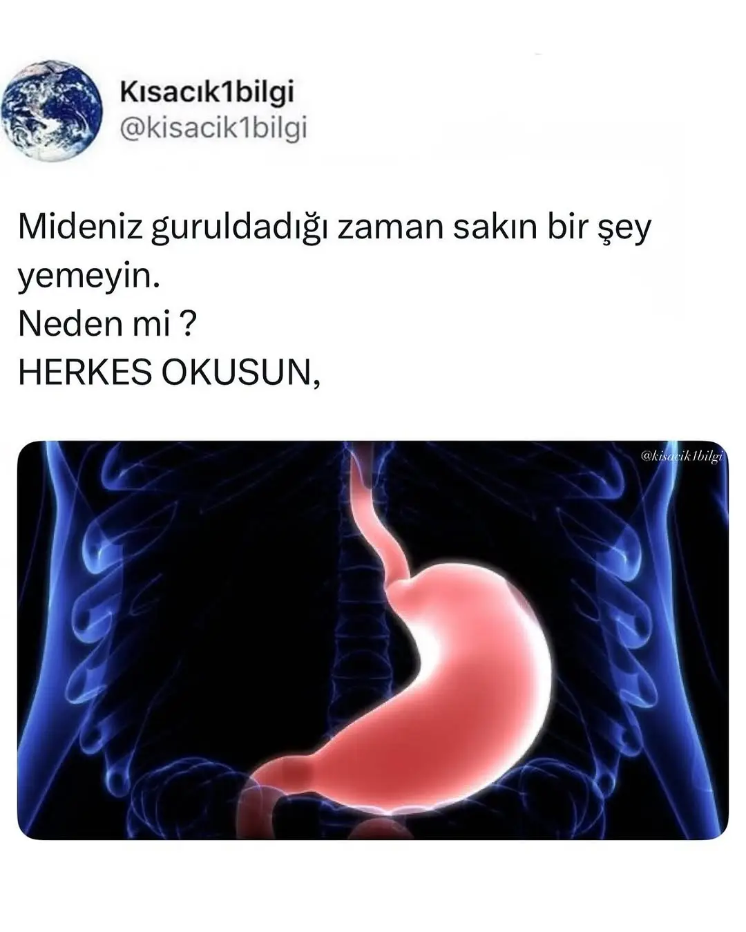 Mutlaka okuyun. #bilgiler #mideguruldaması #faydalıbilgiler #mide #keşfet #fyp 