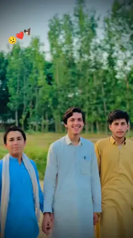 #foryou🍁 #fyp @𝕄🫀Ᏻ @☠️313Group☠️ @🌹Waqar.king🦁 @wisal khan @🤗Sheena Haleemzi king💪 @👑 عمير خان 👑 