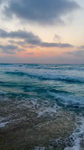 🌊🐚.                                                       #sea #sealove #beach 