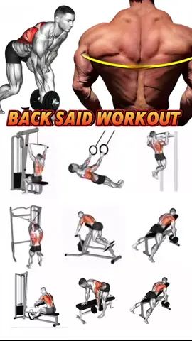 Back Said Workout #tiktok_uk #gym #Fitness #viralvideos 