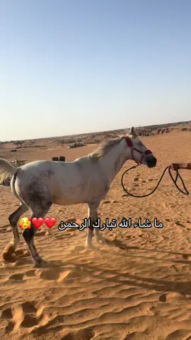 #😭💔🥀🖤😔🥀🖤😔🥀💔💔💔no_love #❤️❤️❤️❤️❤️❤️❤️❤️❤️❤️❤️❤️ 