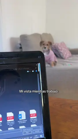 Criollita me desconcentra JAJAJA  #puppylove #puppydog #puppies #cachorritos 