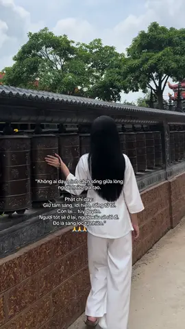 Nam Mô A Di Đà Phật🙏#reviewdodichua #dichuamacgi #phật #phapphucdichua #nammoadidaphat #loiphatday #viral #phatphapnhiemmau #xh #phatphap #dichua 