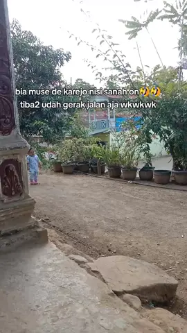 ada2 aja kelakuan si sanah ini 🤣🤣 #ngakak #nurhasanah #anakspecial #halakhita #tapselmandailing #viral #fyp 