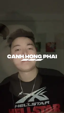 Cánh Hồng Phai_Thiện Toàn Remix #thientoanremix #tdteam 