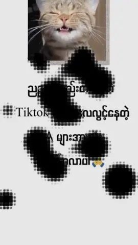 #flypシ 