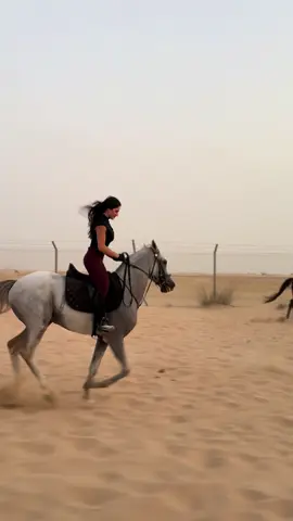 #horse #dxb #horsegirl #خيل_وخياله🐎 #dubai #خيول #equestrian #horseriding #dubai #خيول #uae #خيول_عربية #يقول_اللي_وصف @alalistable_dubaihorseriding_ @horseriding_dubai 