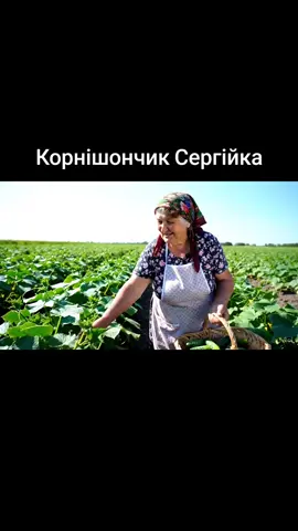 #корнішон #veo3 #recommendations #україна #сергій #огірок 