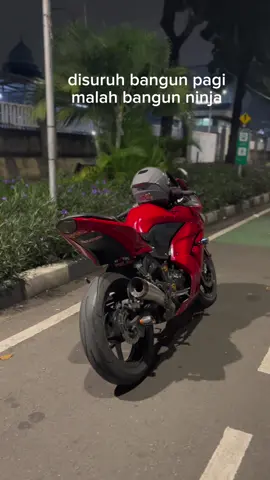 #ninja250 #ninja250karbu #ninja250indonesia 
