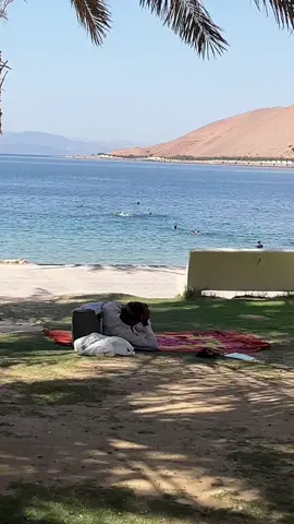 #saudiarabia #fyppppppppppppppppppppp। 