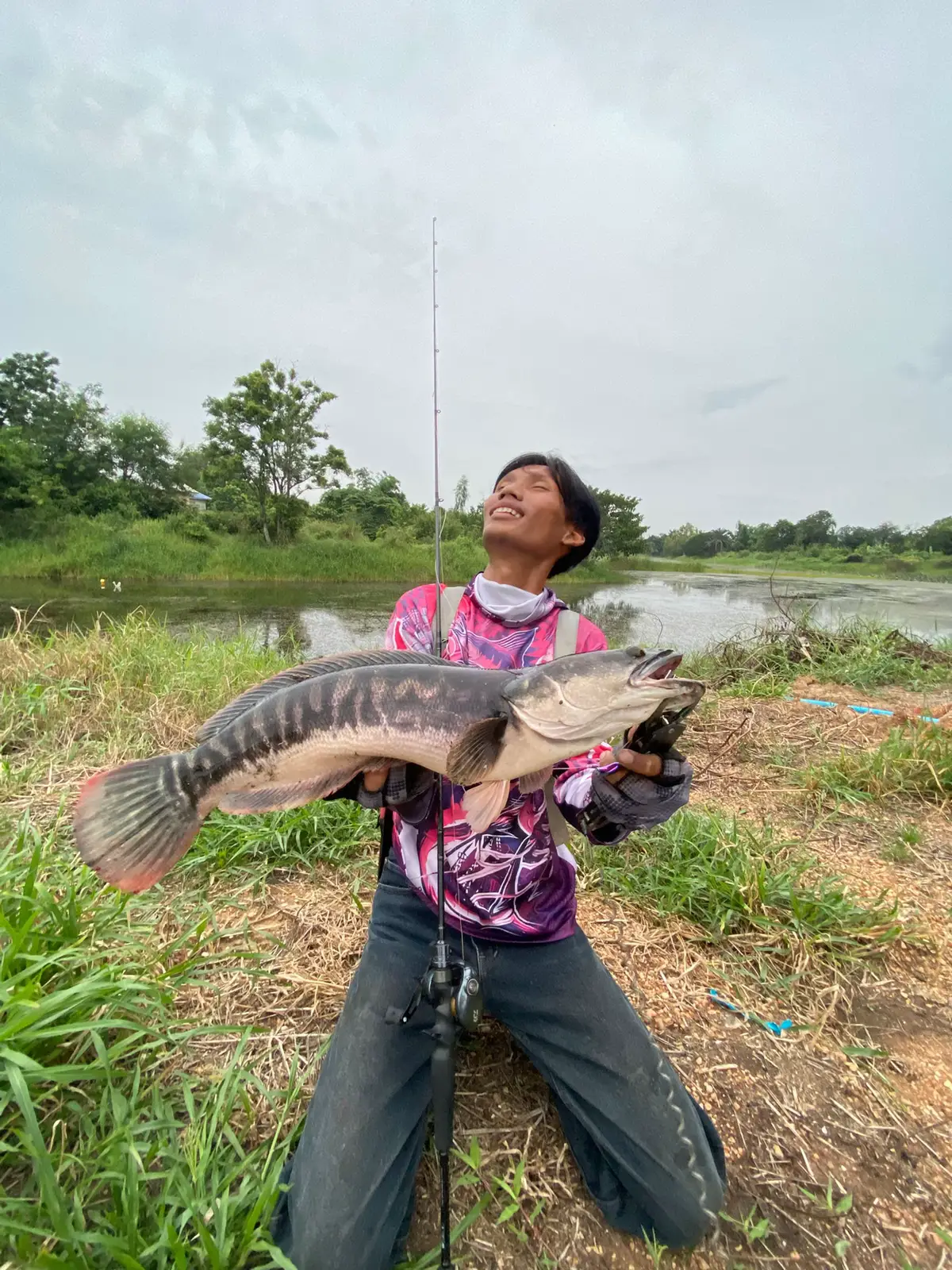 เอาชะโดคลองสีสวยๆมาฝากครับ🎣🔥#คูราโด้dc #แอร์เกียร์ไทเทเนี่ยม🎣 #เหยื่อยางบ่าวเบียร์ #ปลาชะโด #พัทดิว่ะ😮‍💨 