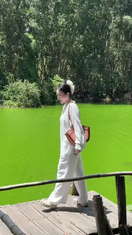Vườn Quốc Gia Tràm Chim #xh #viral 