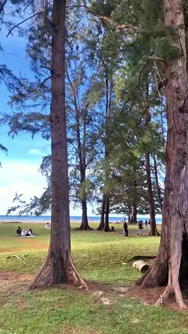 so beatiful🥰 #aceh #wisataaceh #lhokseumawe #pioner 