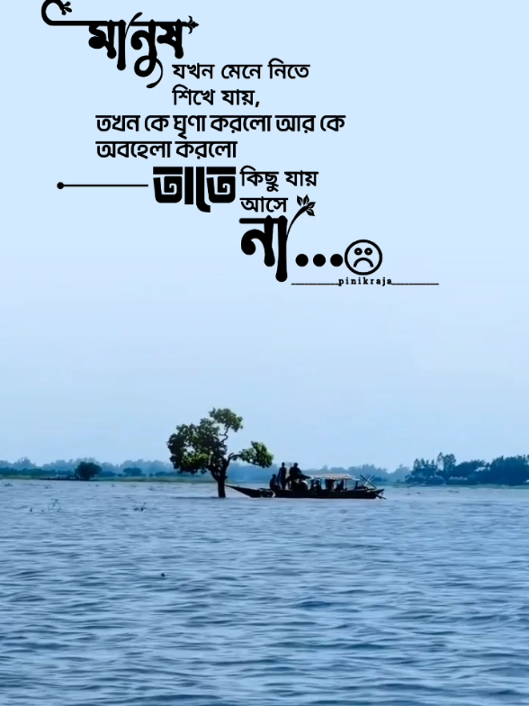 মানুষ যখন মেনে নিতে শিখে যায়......#foryou #foryoupage #tiktok #emotional #quotes #motivation #statusvideo #bangla #bdtiktok #sadstory #localfoodtok #tiktoktainment @TikTok Bangladesh 