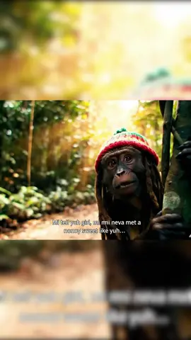 #rasta #monkey #rastamonkey 
