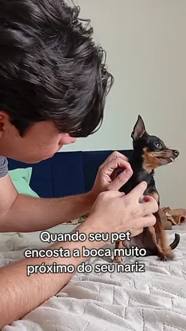 Quando seu pet encosta a boca no seu nariz e vem aquele bafinho de esgoto #petinfluencer #cachorrosdotiktok #paisdepet #pinscher 