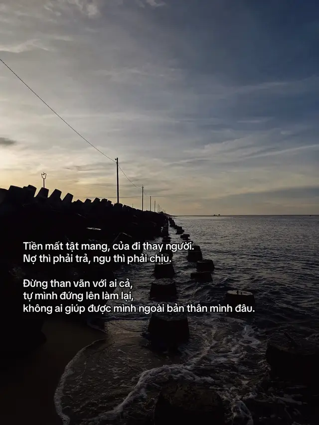 Nợ thì phải trả, ngu thì phải chịu.