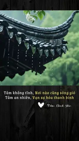 ❤️”Tâm không tĩnh, Nơi nào cũng sóng gió. Tâm an yên, Vạn sự hóa thanh bình ❤️.
