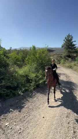 @DÖRTYOL FLORYA ATLI SAFARİ #horse #binicilik #atçiftliği #equestrian #keşfet #safari #horselover #horseriding #atlısafari #atlıspor #horsesoftiktok #floryaatlısafari #dörtyol #çiftlik 