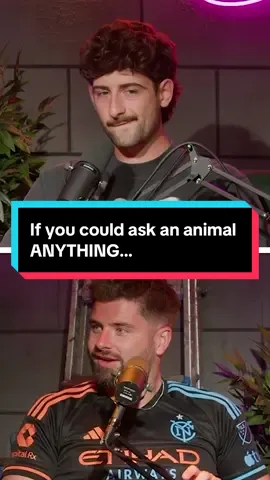 If you could ask an animal ANYTHING, what would it be?!