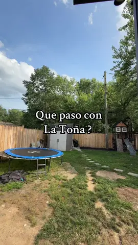 Decirles que ellos andan sus alas recortadas y que no pueden volar , pero si caminan y se suben a los arboles , al final del dia esta sana y salva en casita 