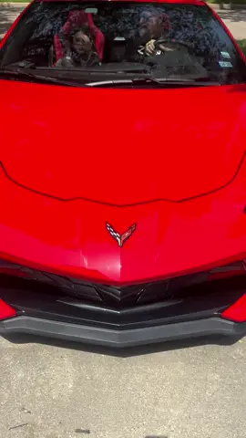 #littleredcorvette 