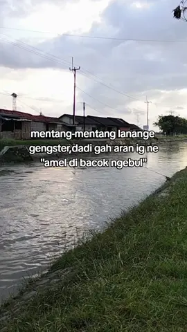 Amel di bacok #tarling_indramayu_cirebon #indramayupride🏴‍☠️ #cilandakstory #masukberanda #katakata #musik 