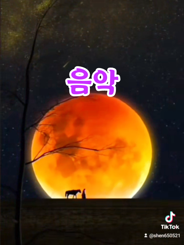 #음악  #서광이비치다 