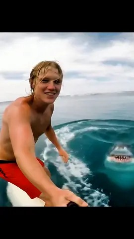 Shark Attack 😱 #sharkattack #veo3 #aigenerated #caughtoncamera  #shocking #dangerousanimal #ai 