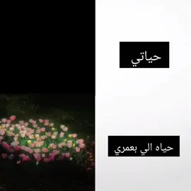شكد حقيقي خرب🗿💔 #foryoupage #foryou #fyp #fypシ #fypシ゚viral 