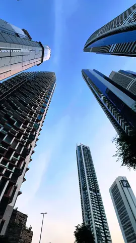 The city rises like a mirage — all glass, steel, and ambition🏙️#dubai #saif107 #uae🇦🇪 #dubai🇦🇪 