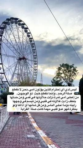امي  ❤️✨ #امي  #اكسبلورexplore  #alhamdulillah❤️ #y #f #o #l 
