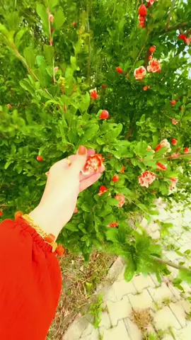 #malak #🌼 #🌷