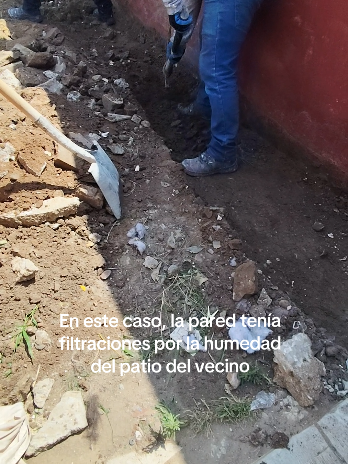 Filtraciones de agua y humedad en paredes que colindan con patios de tierra. #paredes #roofing #salitre #impermeabilizante #techo #humedad #lluvias #fyp #paratiiiiiiiiiiiiiiiiiiiiiiiiiiiiiii #mexico 